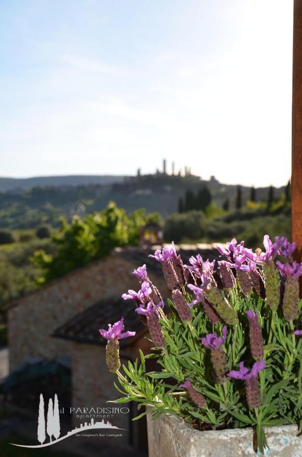 Il Paradisino San Gimignano'S Best Countryside 外观 照片